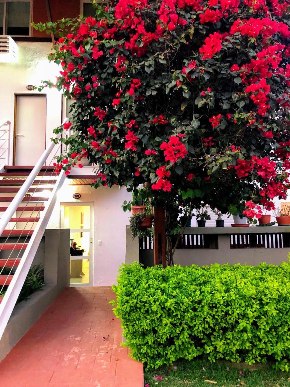 Flat 301 Condominio Villa Hipica - Gravata, Pe Екстериор снимка